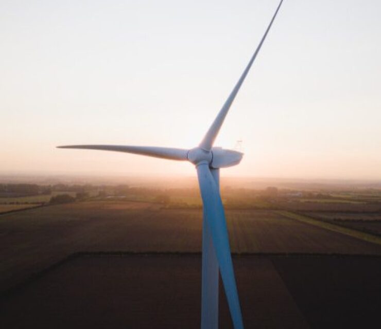 Why post-pandemic recovery will be fuelled by green energy jobs