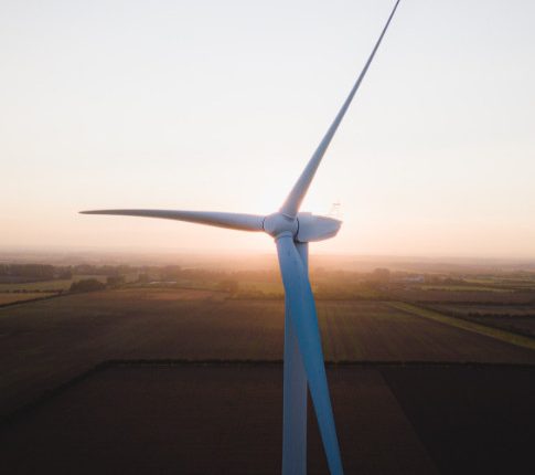 Why post-pandemic recovery will be fuelled by green energy jobs