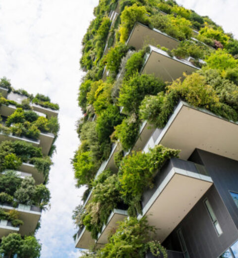 Beyond Petroleum: Efforts to Reduce Greenhouse Gas Emissions from Fossil Fuels