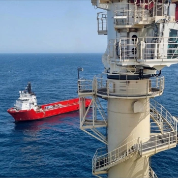 Oil Gas & Petrochemica